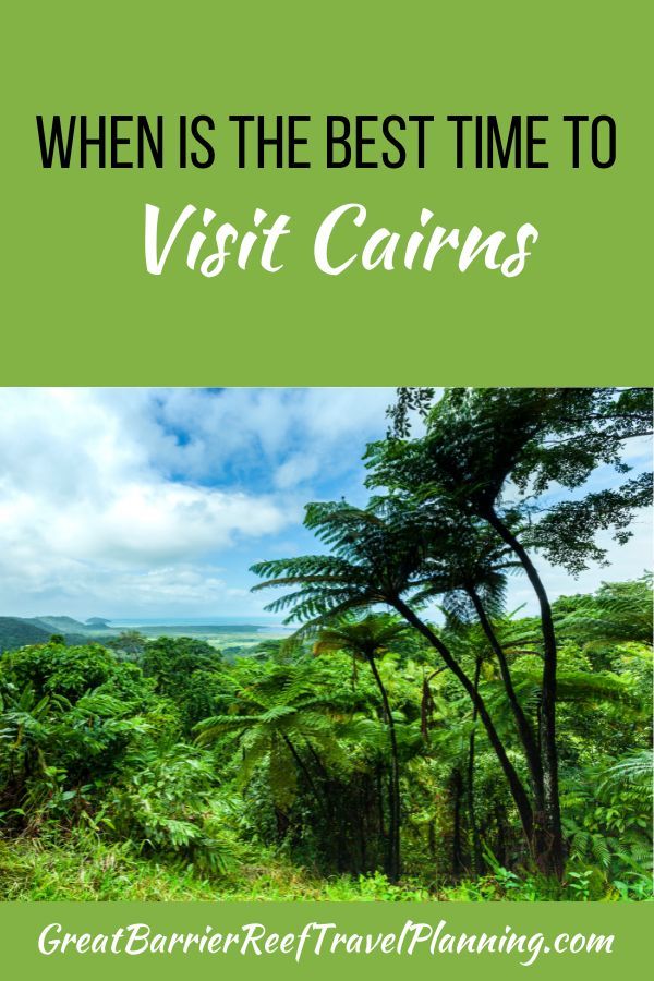 BEST TIME TO VISIT CAIRNS.  Learn more about the weather, stinger season, school holidays and more to help you plan your visit. bit.ly/3CWOEpJ