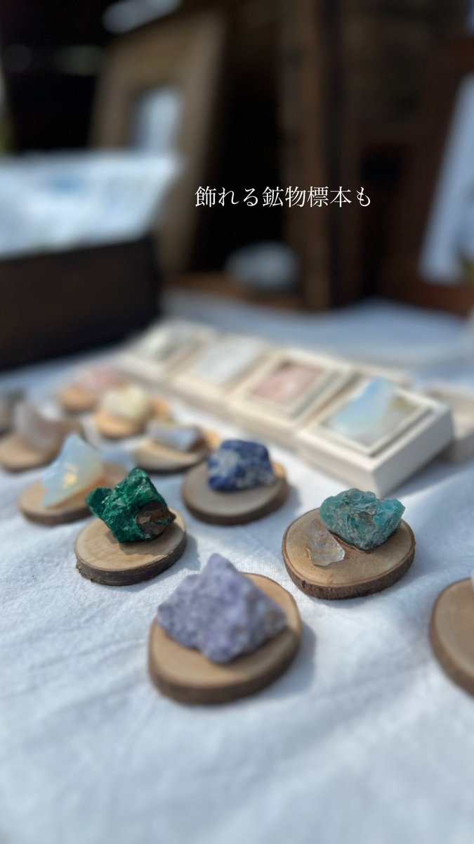 asu06573211's tweet photo. 只今京都の岡崎公園にて
京都博覧会マルシェ開催中！！

母の日の贈り物に是非〜 https://t.co/9QJECvD1eW