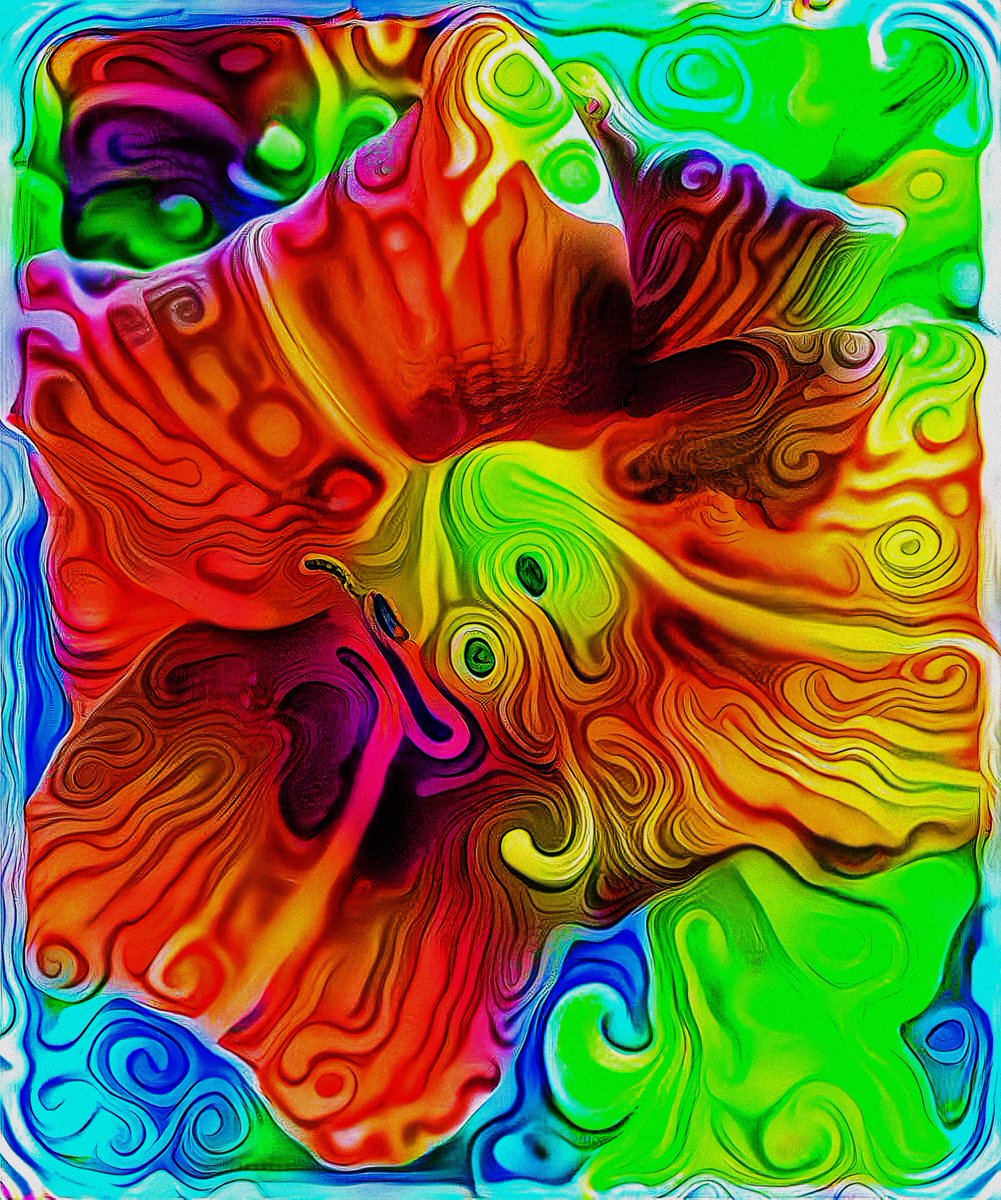 Virginia Lori tweet media