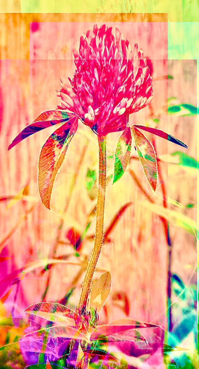 Virginia Lori tweet media