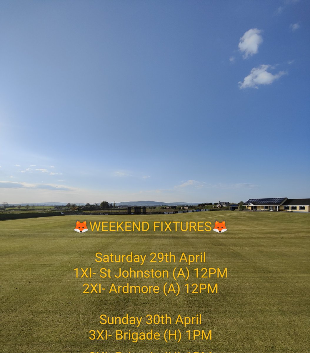 FoxlodgeCC's tweet photo. #CmonYouFoxies🦊 https://t.co/jfb9wEYqCv