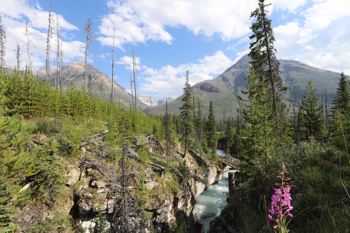 Tourism Radium tweet media