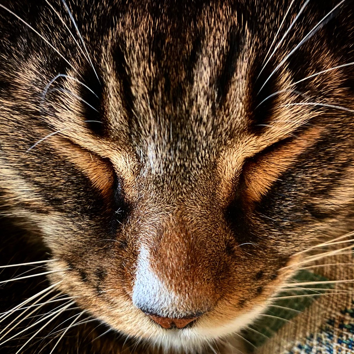 Lora Stocker tweet media