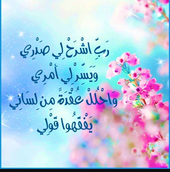 sg_f16's tweet photo. https://t.co/N8yQwr9OR3