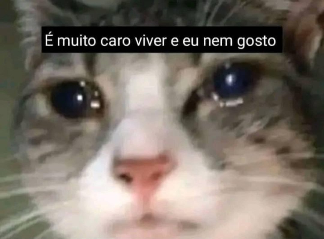 exercite o cérebro e fortaleça as ideias (@diojorange) on Twitter photo 