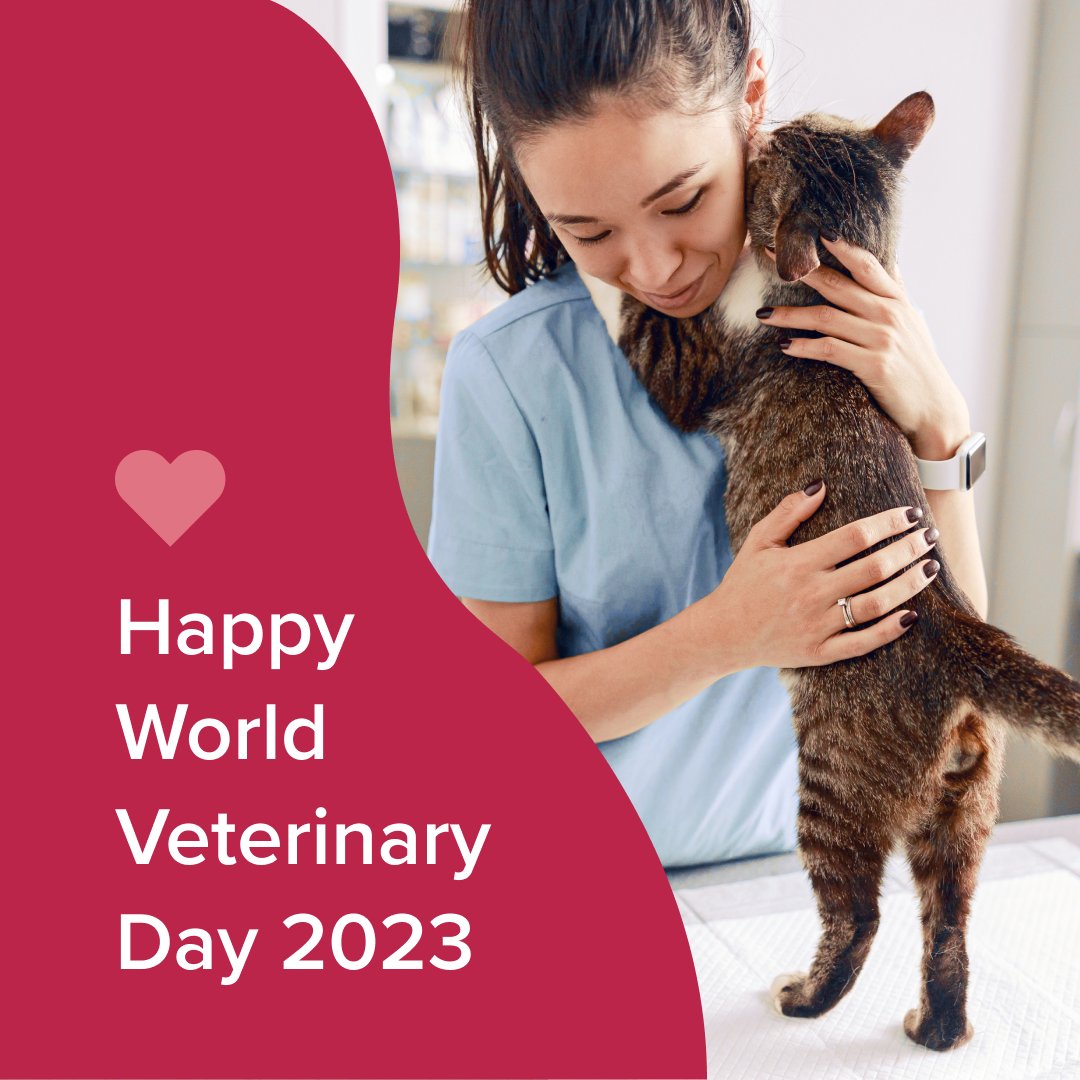 Modern_Vet's tweet photo. Happy World Veterinary Day to all the amazing veterinarians out there who work tirelessly to keep our furry friends healthy and happy! 👩‍⚕️👨‍⚕️ Let's show them some love and appreciation today and every day. #WorldVeterinaryDay2023 #WorldVeterinaryDay #ThankYouVeterinarians https://t.co/5c3WDrmhEh
