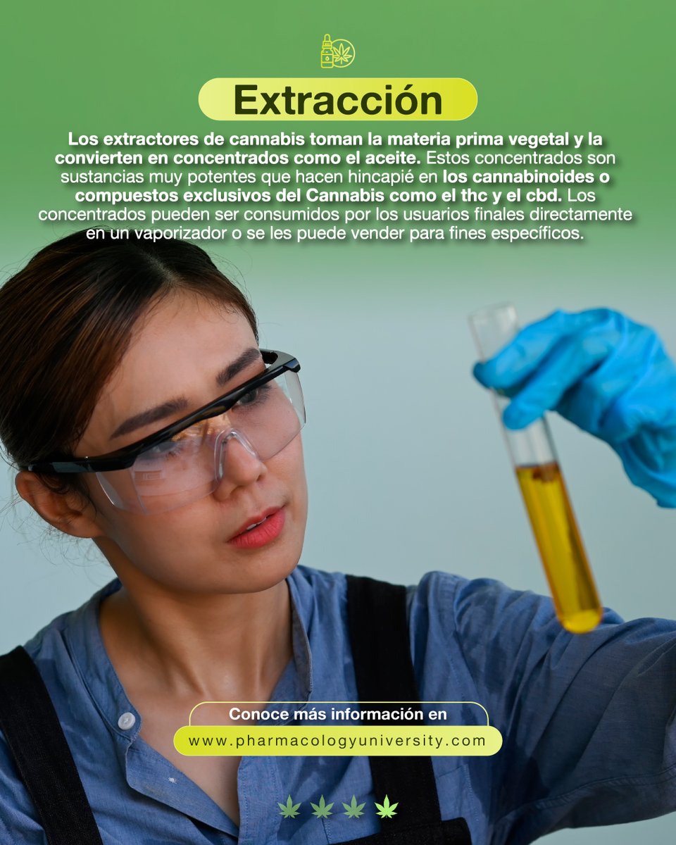 Conoce algunos de los tipos de #negocios que la industria del #cannabis posee. Cuéntanos en los comentarios qué te pareció y qué otros negocios conoces ¡No olvides compartir y darle me gusta!