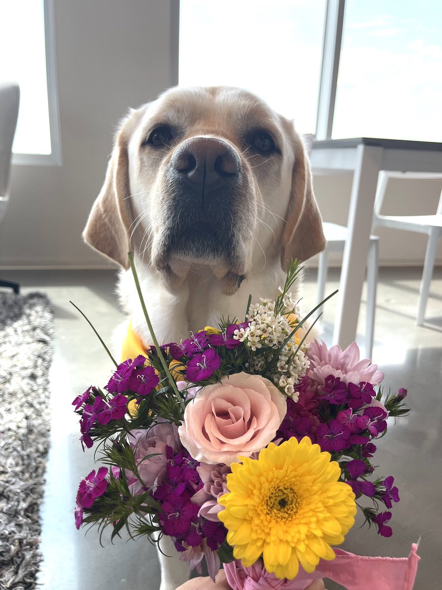 Spring flowers + Cane 3 = cuteness overload.🥺