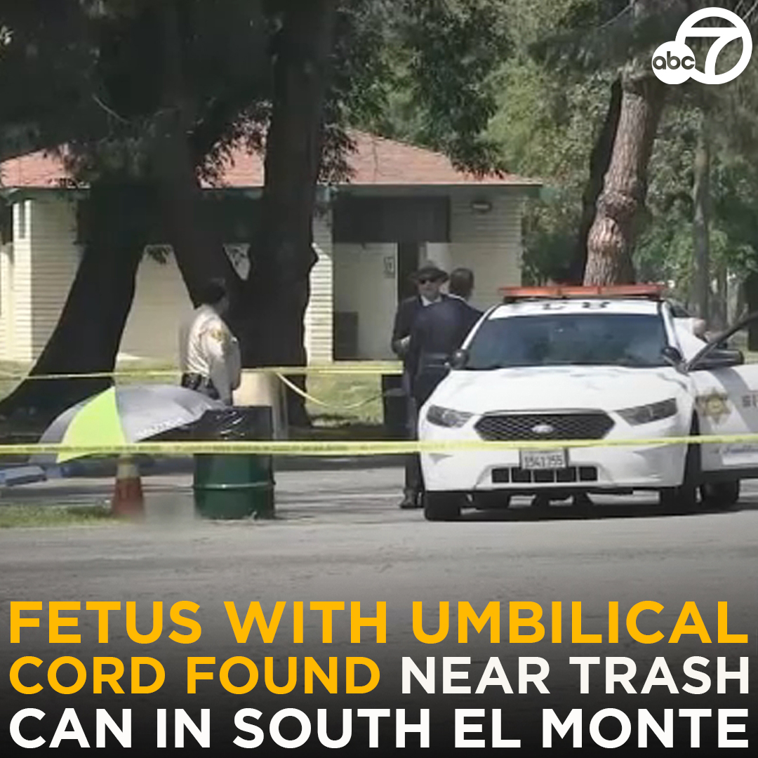 ABC7's tweet photo. HEARTBREAKING: A fetus still attached to the umbilical cord was found near a trash can at the Whittier Narrows Recreation Area at around 8 a.m. Friday morning. 💔

The fetus is estimated to be around six to seven months of gestation. Investigators are now searching for the fetus' mother. https://t.co/0O1fmzsM3n