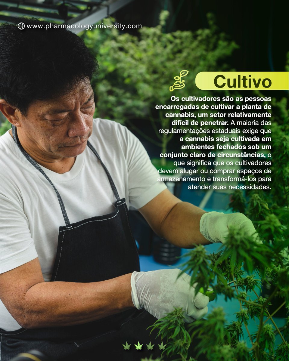 pharmuonline's tweet photo. Conheça alguns dos tipos de #negócios que a indústria da cannabis possui. Conte-nos nos comentários o que achou e quais outros negócios você conhece. Não se esqueça de curtir e compartilhar! https://t.co/R1bzMctIvi