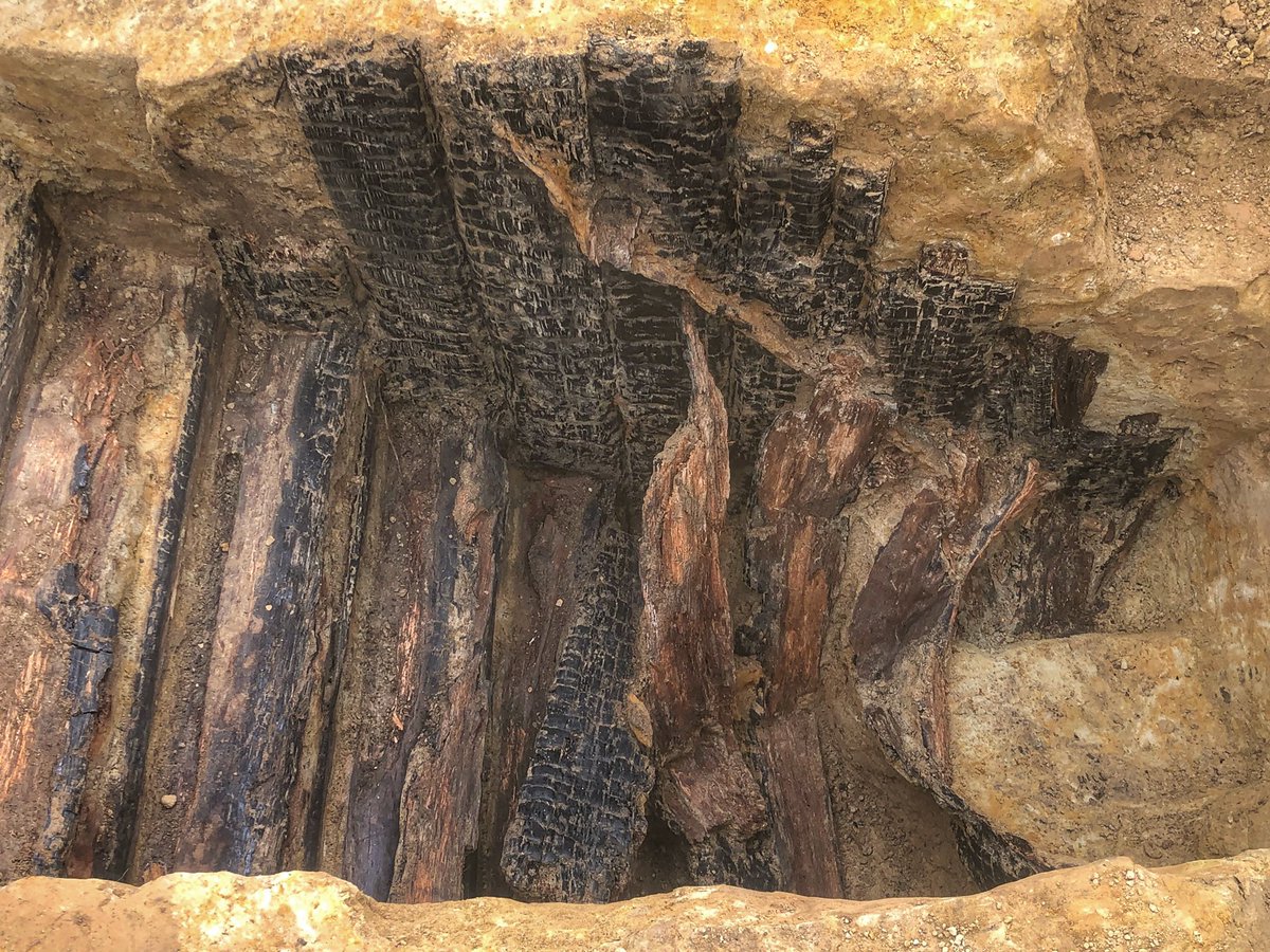 Simon Verdegem tweet media