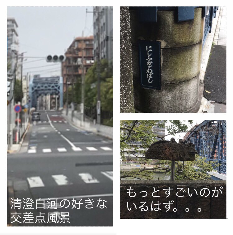 dolphinnose555's tweet photo. おはようございます♪少し前の #サイクリング と更に前の #清澄白河 闊歩風景です。 #良い連休 をお過ごしください🤗
#ロードバイク #ゴールデンウィーク https://t.co/FeesosPTRI