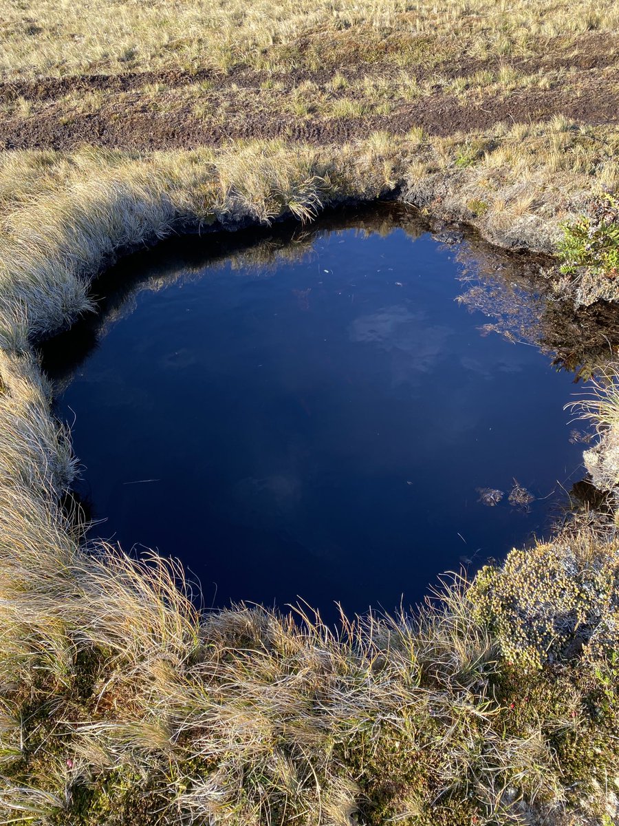 Kristian Lindhardt on Twitter "Ved Goose Green blev Krigens første