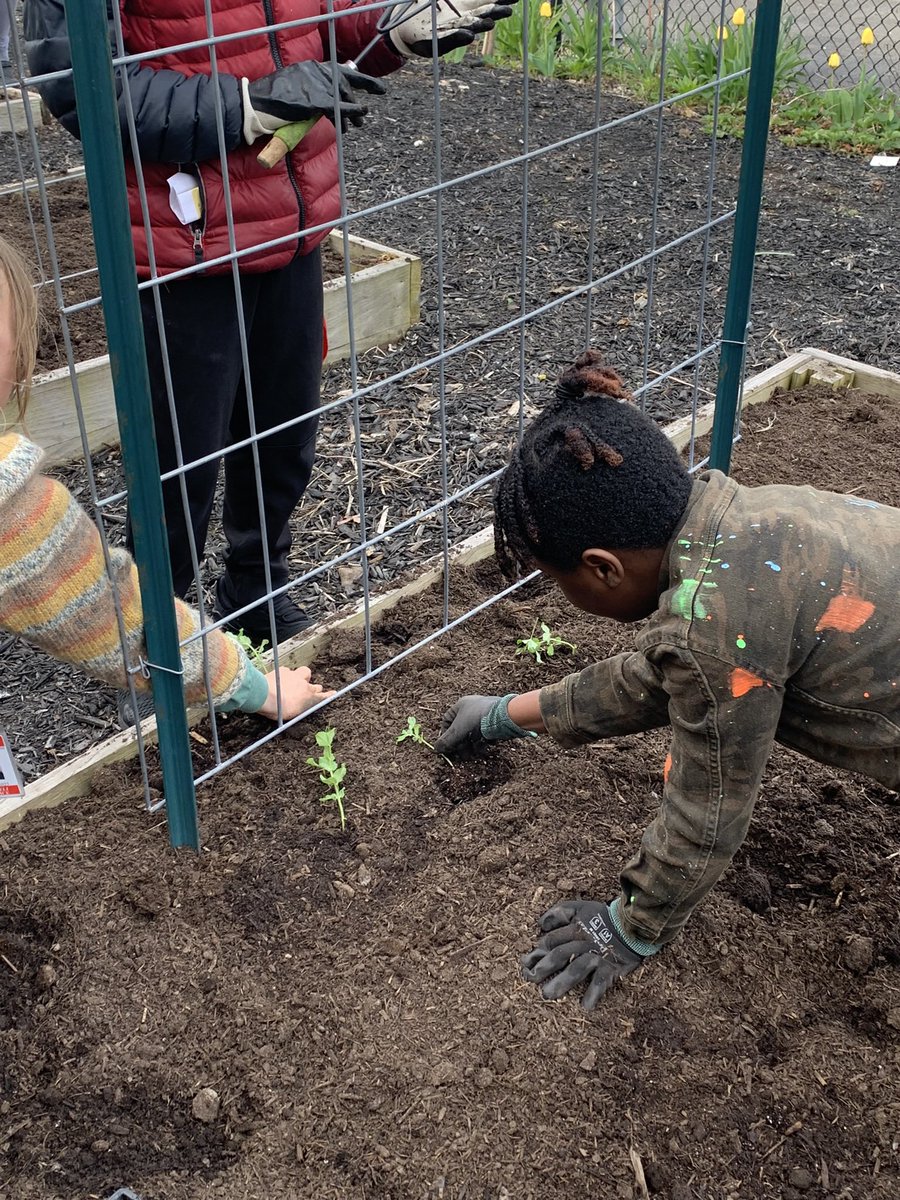 Kyra Stephenson tweet media