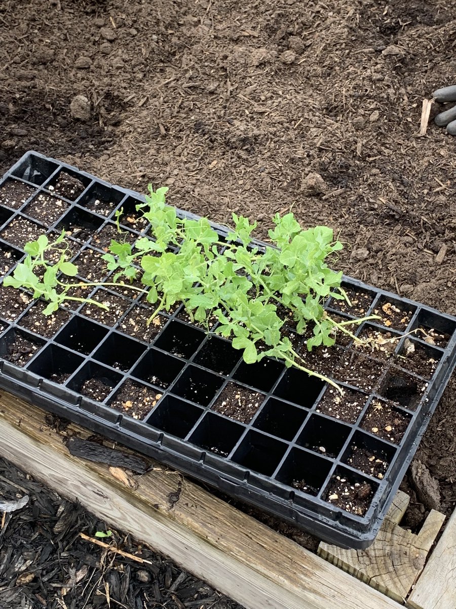 Kyra Stephenson tweet media