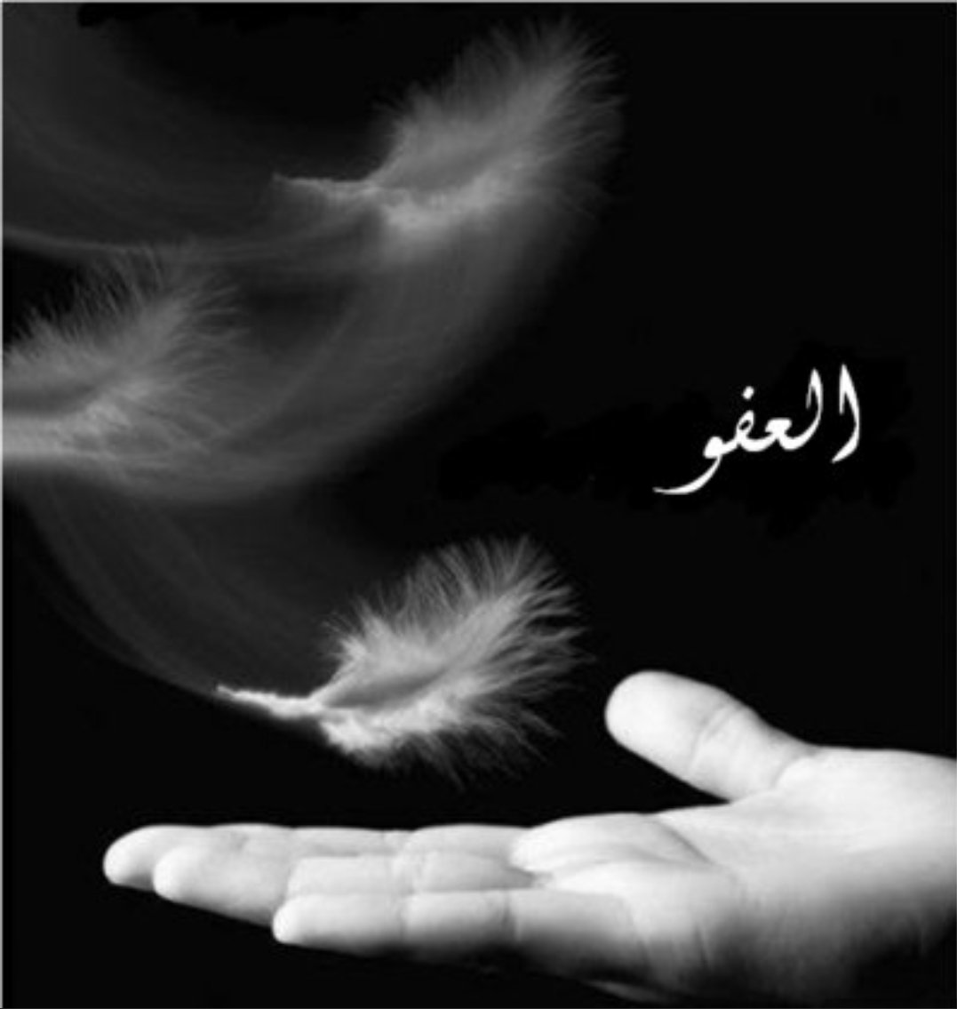 أعتذر طبعي عنيد 
ولا أقبل المفاوضة في بعض الأمور 
✒ #مهره 
#اسطول_زعماء_تويتر