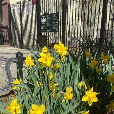 swingstreet133's tweet photo. #NewProfilePic https://t.co/4w0iQHu9XS