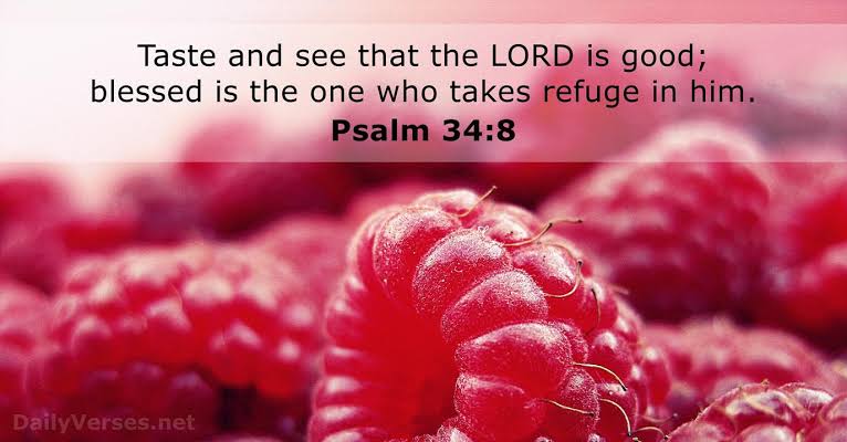 IamJae18's tweet photo. Those who seriously studies and applies God's Word learns firsthand that the Lord is good, that He is an available and reliable stronghold, finds how gracious He is and that the true happiness of life is found in Him alone.

May the Lord's goodness always refresh our soul.

--- https://t.co/gqUMOfCMUF