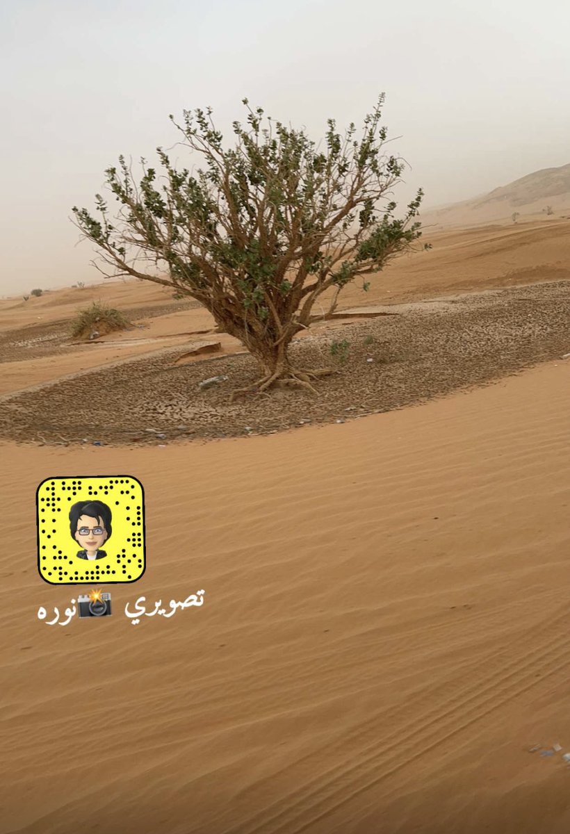 الطبيعة جمال اختصها الله لتفكر و
الشكر على جميع النعم التي لا تحصى 
اللهم لك الحمد كما ينبغي لجلال وجهك وعظيم سلطانك 👐
#تصويري 
#مهره N ✒