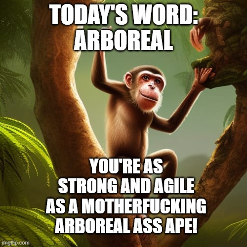 TheGuySmiling's tweet photo. #TodaysWord:
Arboreal describes animals that live and climb on trees. :)
#UpInTheTrees 🐒
#TreeClimbing 🌳
#NatureLover 🌿
#Wildlife 🐾