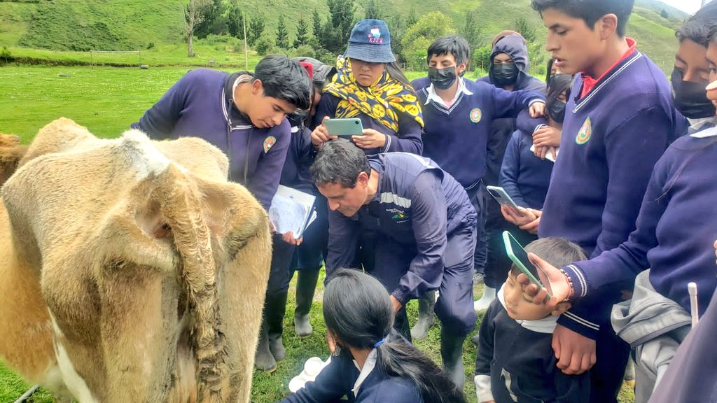 Agricultura_CZ3's tweet photo. #Chimborazo👨‍🌾🐄| Técnicos #PIATER del cantón Alausí realizan capacitación en la administración de medicamentos y buenas prácticas de ordeño a estudiantes de la UE. Isaías Garzón Loyola, de la parroquia Sibambe, a través de las Escuelas de Aprendizaje de la #AFC. #JuntosPorELAgro https://t.co/N8ud9P8sHM