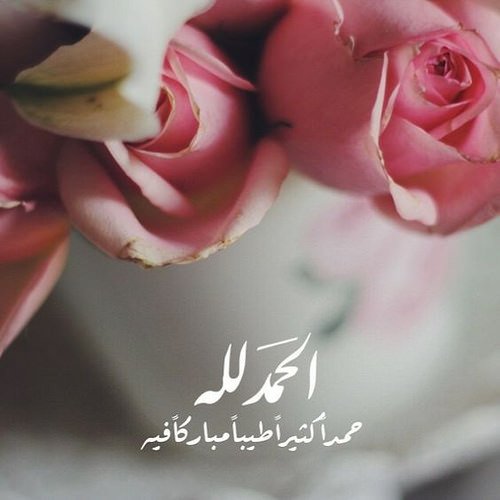 لاتغفل عن شكر النعم التي 
ننغمس بها فضل من الله ونعمة 
اللهم لك الحمد 
#مهره 
#اسطول_زعماء_تويتر