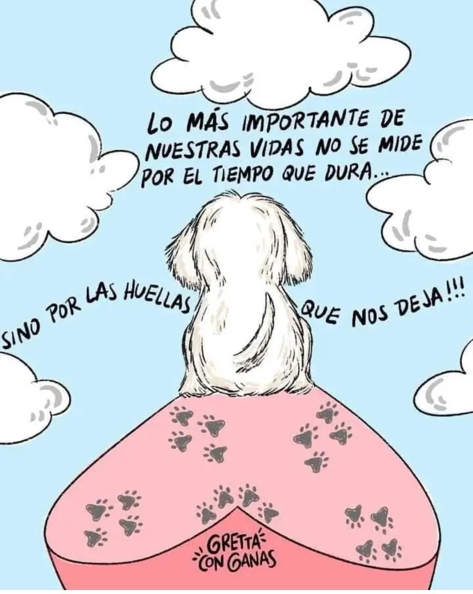 ve_couceiro's tweet photo. 💔 https://t.co/svUxyBMppe