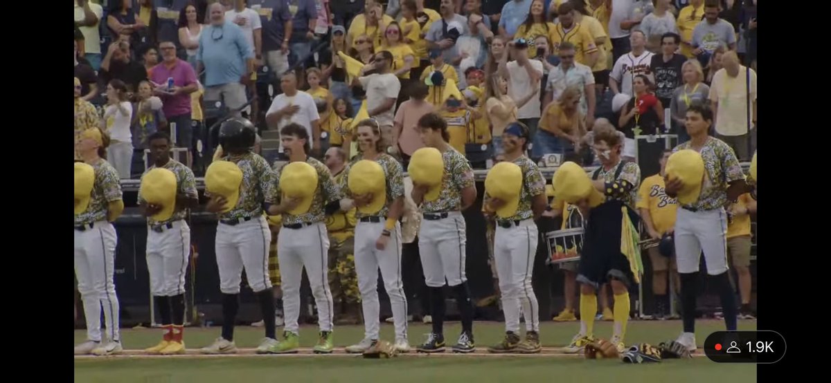 Minor League Promos tweet media