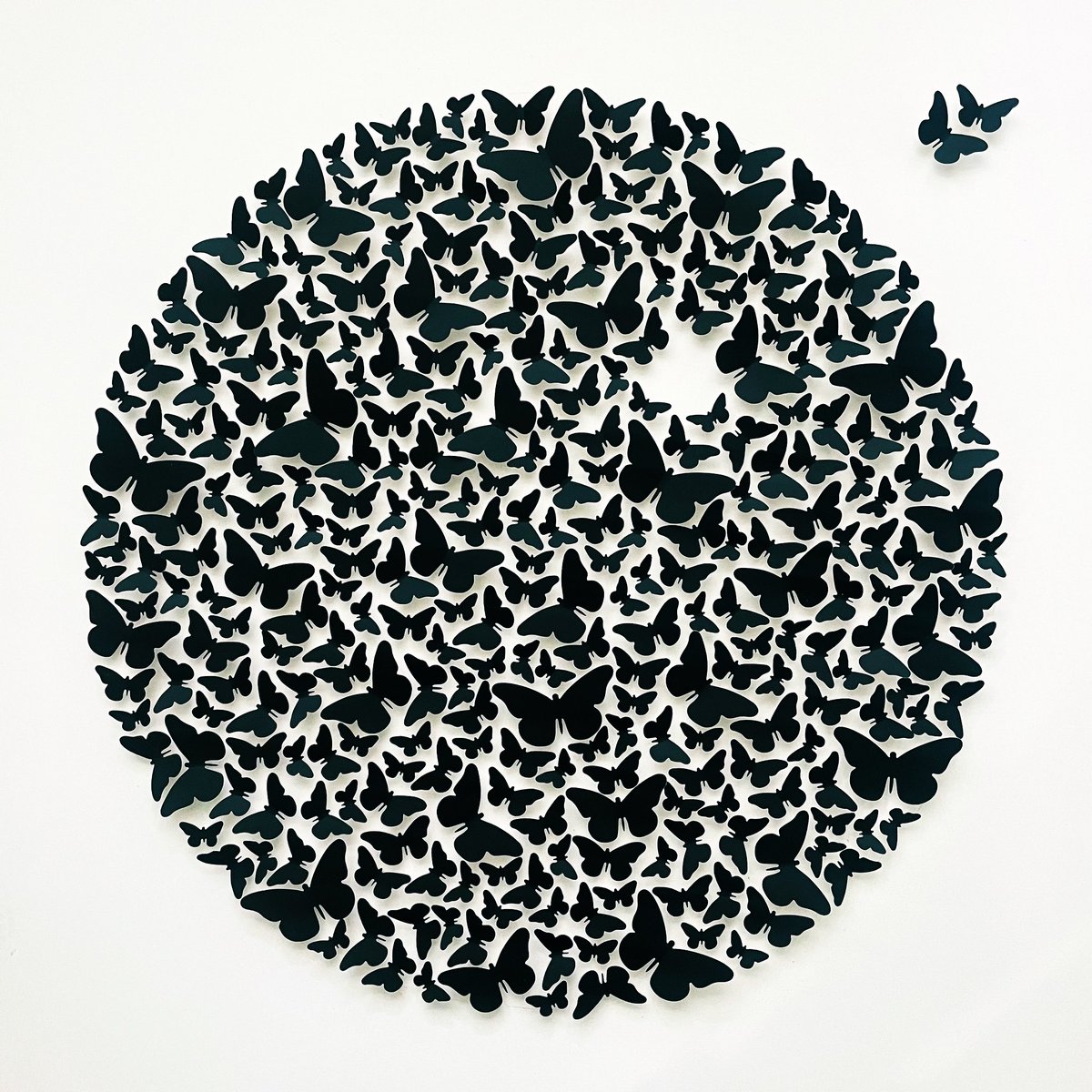 Cissy Cook tweet media