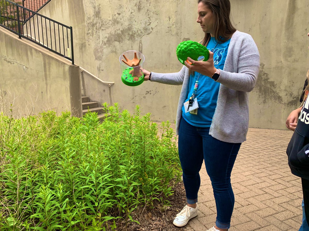 MsCliffordHES's tweet photo. For the past couple of weeks 3rd grade has been learning about life cycles! Today, we let our adult ladybugs spread their wings into our Outdoor Learning Center! Watching them go through all of their stages! 🤗🐞☀️ @HicksElementary #HicksES https://t.co/oBvIHbqgHL