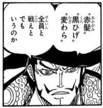 The Will of Marco (マルコの意志) on X: Dracule Hawk-Eyes Mihawk