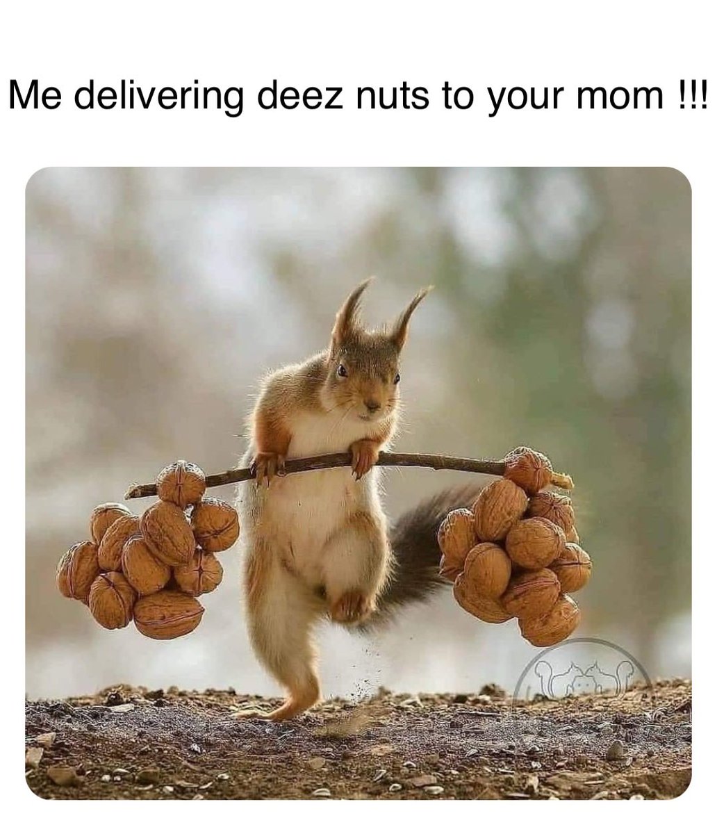 deezinucoineth's tweet photo. $Deez is here to claim it’s spot in meme coin heaven 

Presale? ✅

Airdrop for early supporters? ✅

Contract? Renounced ✅

Liquidity? Locked ✅🔐

Join the movement 🤝

#airdrop #nft #crypto #ethereum #deez https://t.co/GUXCN2HjGf