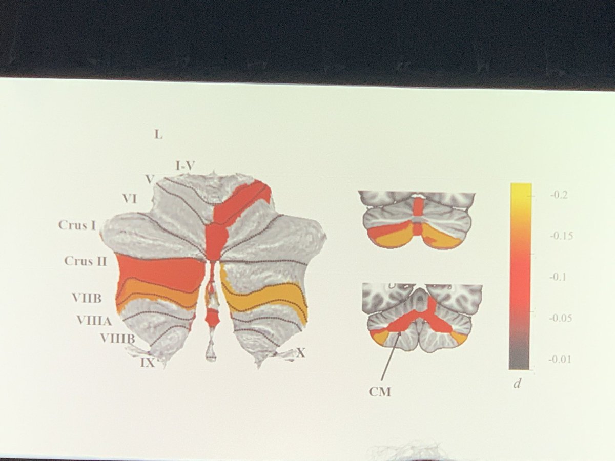 Paul Thompson tweet media