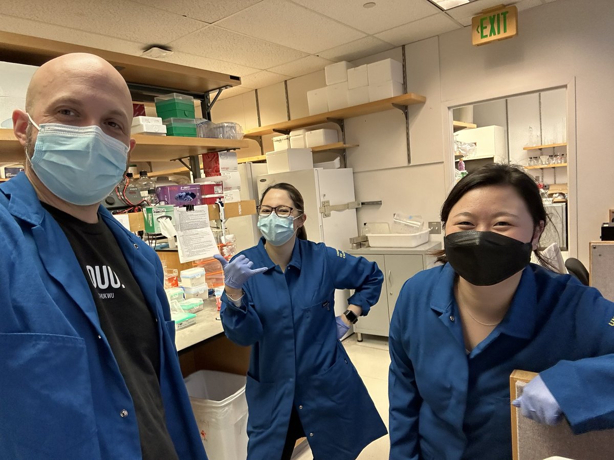 MikeKattahMD's tweet photo. go go gadget arm #labselfies … https://t.co/CVs2YNOpKP