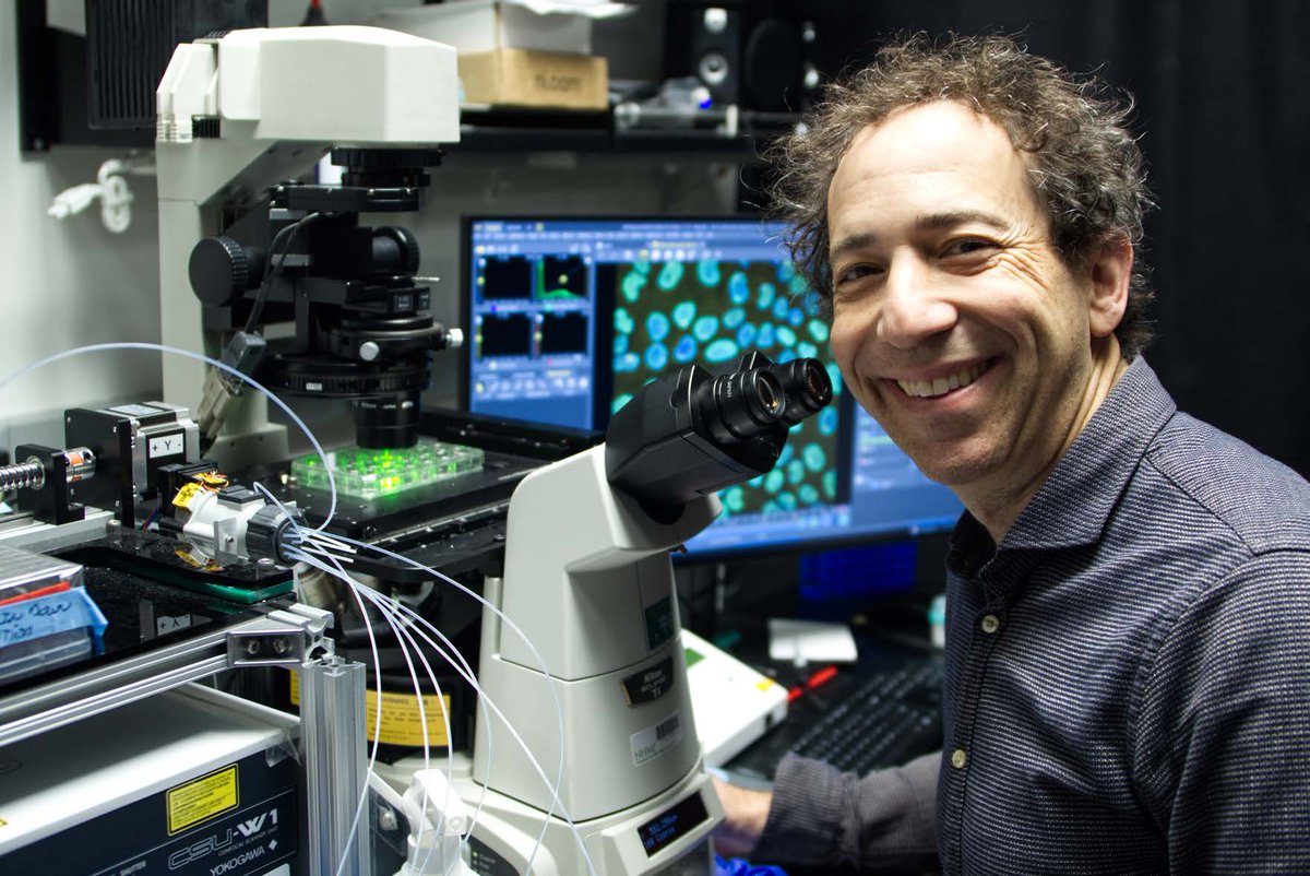 Congratulations Michael B. Elowitz of @Caltech, newly inducted #NASmember! #NAS160 #biology #biochemistry