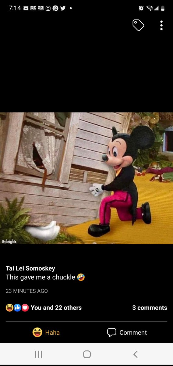 MrsBoukhari's tweet photo. I laughed way way to hard at this 🤣 😂 💀 https://t.co/vL3P9OWSJ1