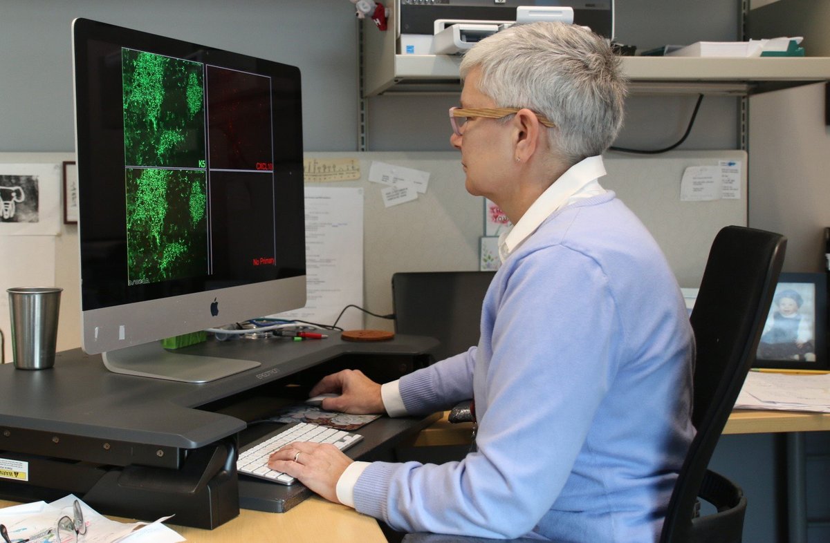 National Academy of Sciences (@thenasciences) on Twitter photo Congratulations Kristin A. Hogquist of <a href="/UMNews/">University of Minnesota</a>, newly inducted #NASmember! #NAS160 #immunology Congratulations Kristin A. Hogquist of <a href="/UMNews/">University of Minnesota</a>, newly inducted #NASmember! #NAS160 #immunology