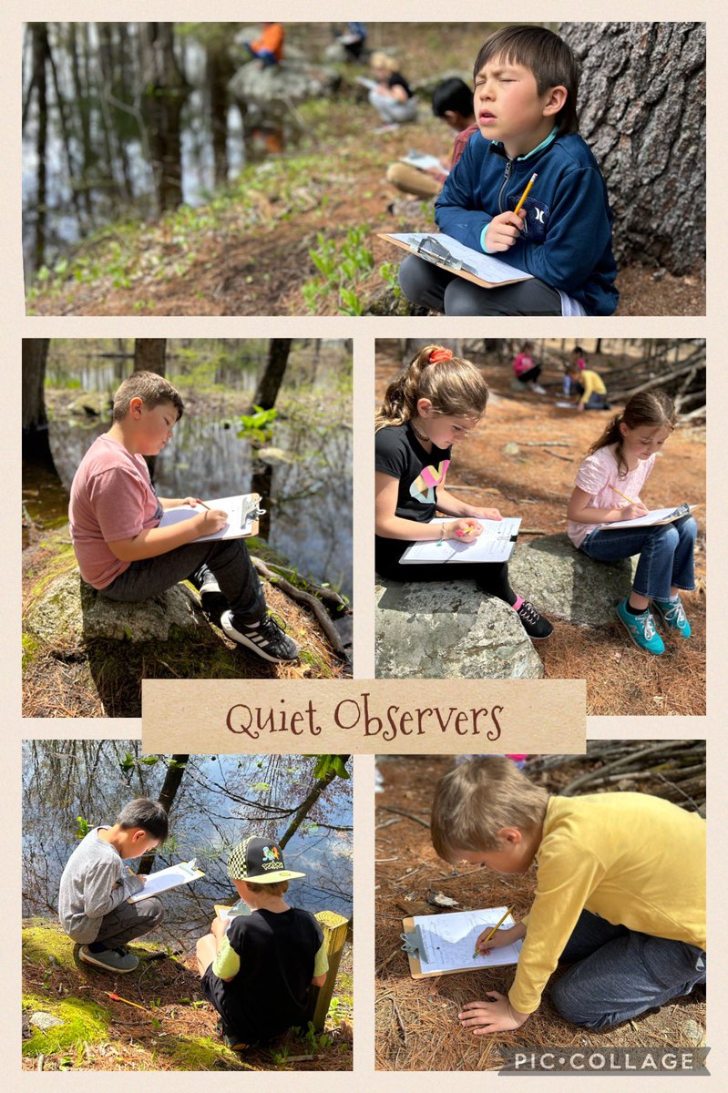 mrslbulldogs's tweet image. Inspired by Jane Goodall these WATCHERS headed to the woods to observe- not as “just second graders” but as second grade scientists! Used (almost) all our senses &amp;amp; documented our observations ! @BlanchardMem #AllWelcomED