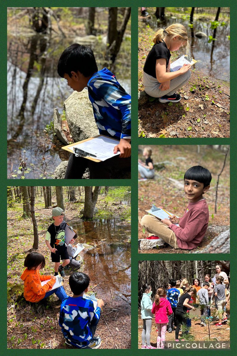 mrslbulldogs's tweet image. Inspired by Jane Goodall these WATCHERS headed to the woods to observe- not as “just second graders” but as second grade scientists! Used (almost) all our senses &amp;amp; documented our observations ! @BlanchardMem #AllWelcomED