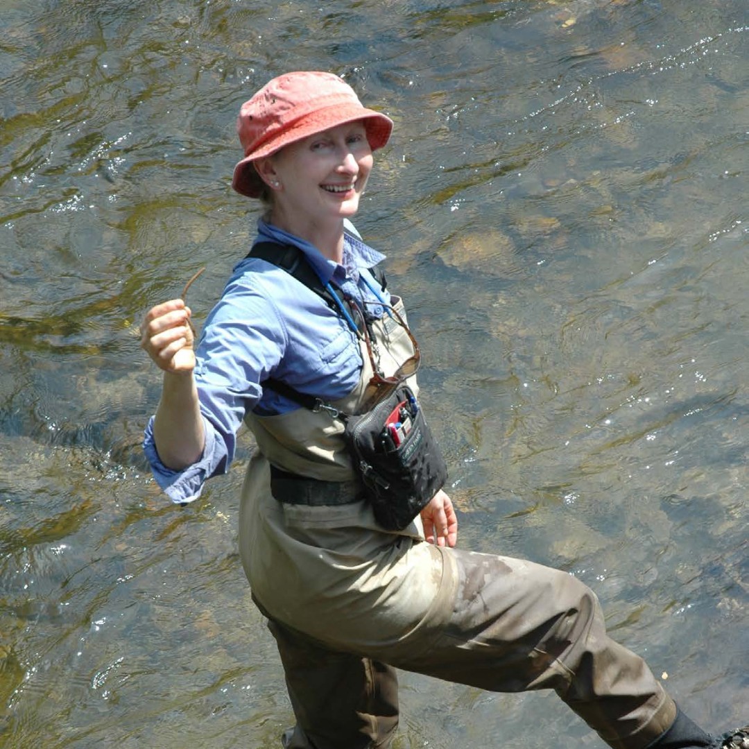 Congratulations Dorothy J. Merritts of <a href="/FandMCollege/">Franklin & Marshall</a>, newly inducted #NASmember! #NAS160 #geology