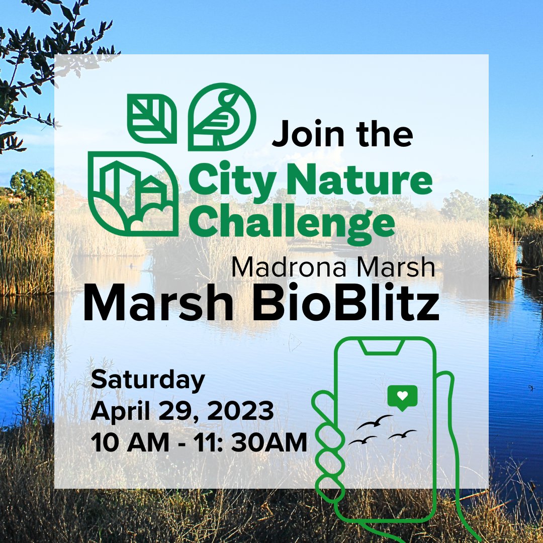 HealTheBay's tweet photo. 🚨COMMUNITY SCIENCE ACTION ALERT: The FOUR Day LA City Nature Challenge has started! TOMORROW, Saturday, April 29, help @healthebay &amp; #safecleanwater take on the challenge at our TWO Bioblitz Community Science Events>> https://t.co/Wowp7PvIyj https://t.co/b5dM9oCG38