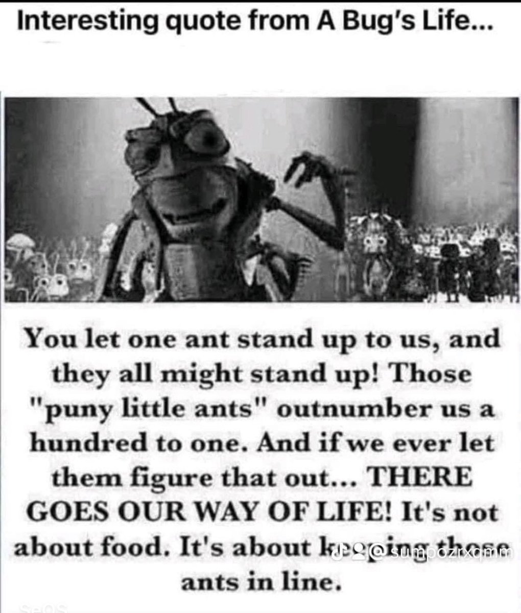 jurassic_Jess91's tweet photo. 🤔 the bugs life was on to something. Unfortunately we are the ants and the government is slowly taking over and we’re letting them
#truth #conspiracy https://t.co/mrDAUUM7Os