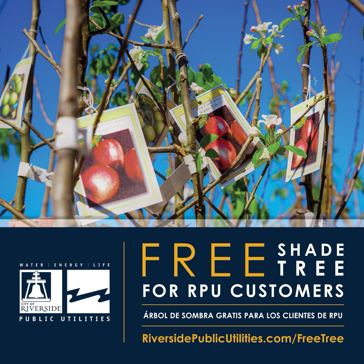This #ArborDay, we would like to remind our Customers to take advantage of our Tree Power Program and claim your Free Shade Tree before June 30th and plant a beautiful shade tree. Happy Planting! For more details on our Tree Power Program, visit: RiversidePublicUtilities.com/FreeTree