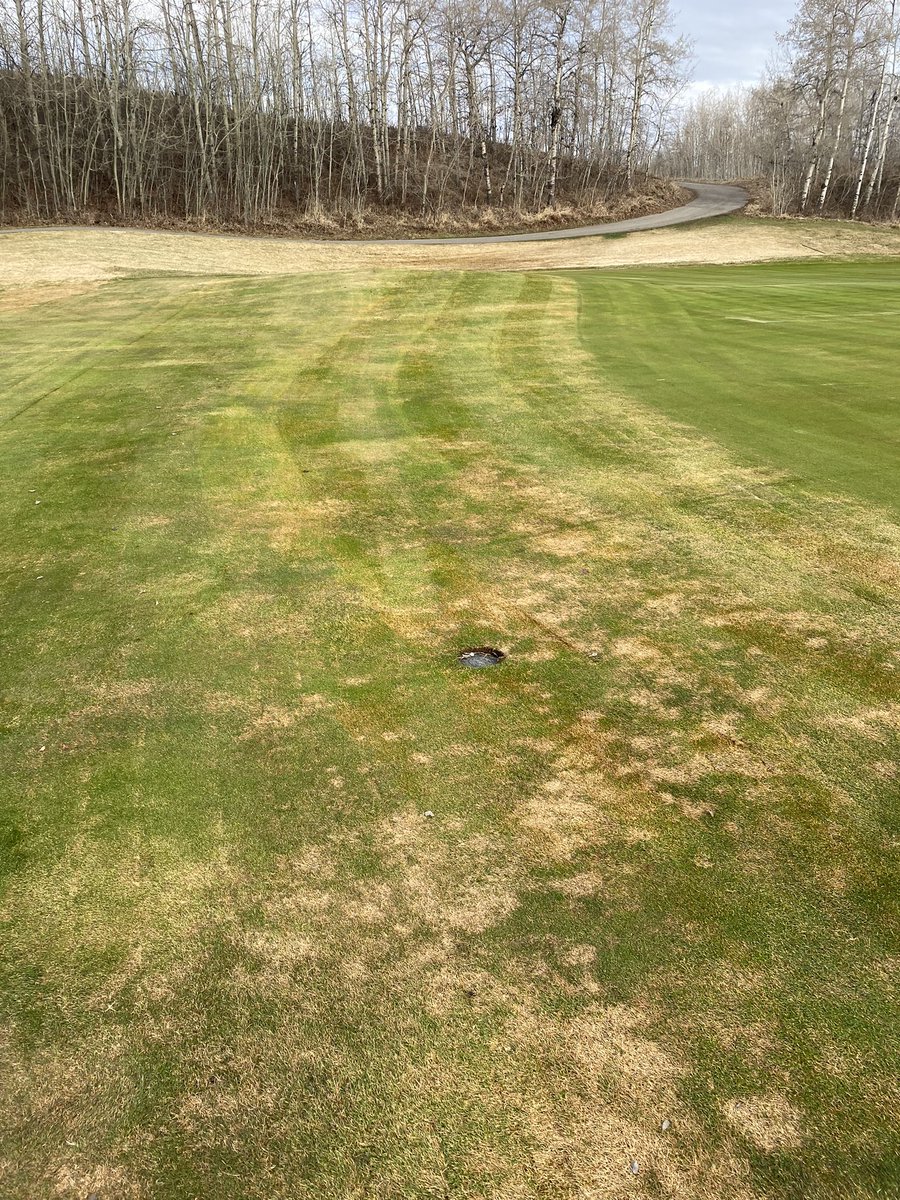 Spending some time cutting grass <a href="/SiroccoGolf/">Sirocco Golf Club</a> 🙂