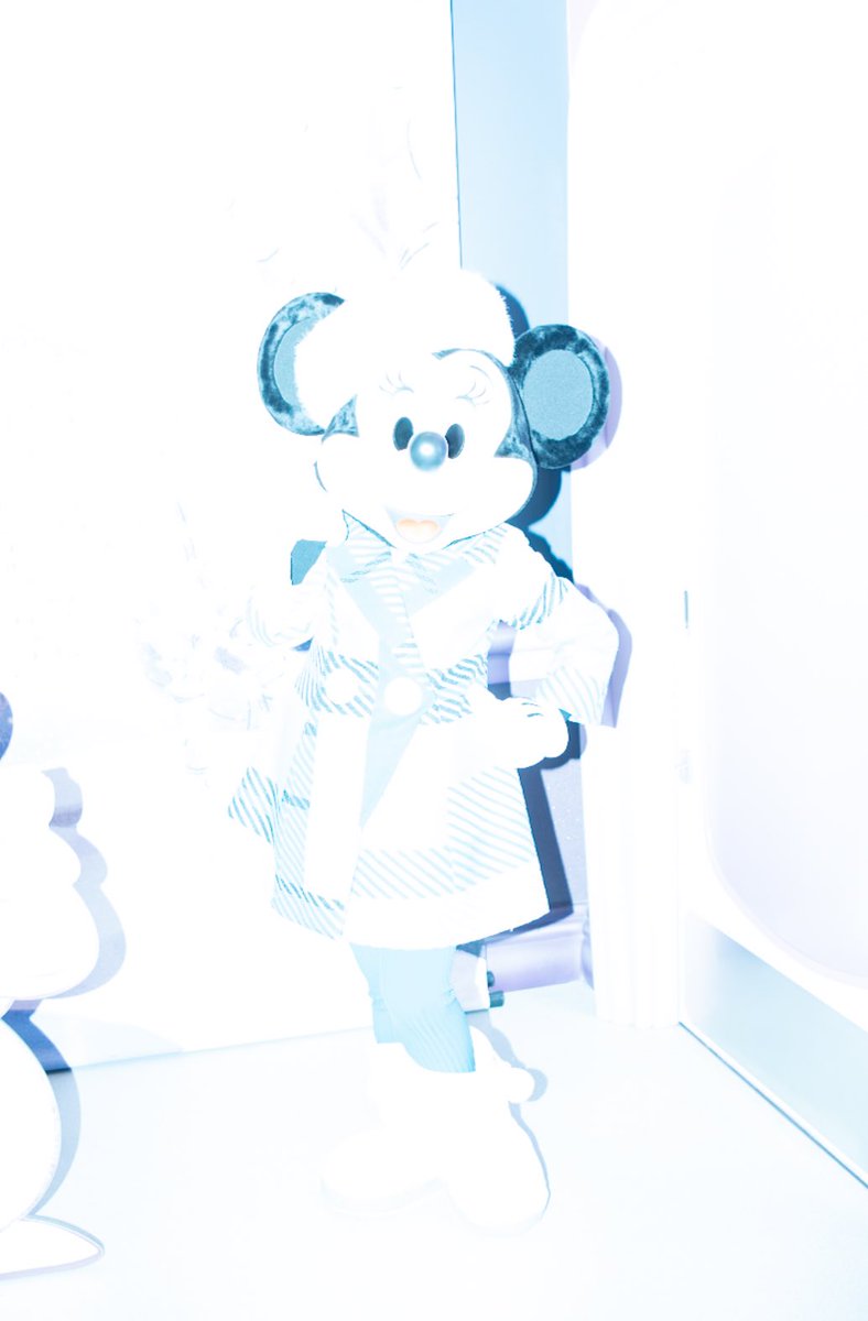 3muse2's tweet photo. ミニスタ、これでオッケー！ていったことある。元気出してほしい https://t.co/SJ6EAYGNWE
