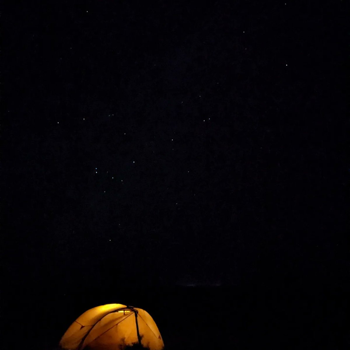 Dr Natasha Stephen tweet media