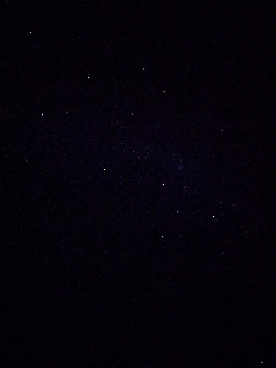 Dr Natasha Stephen tweet media