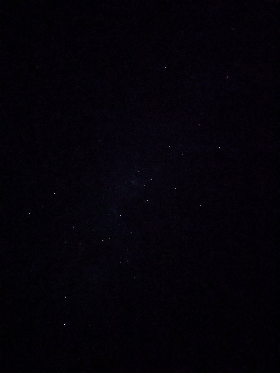 Dr Natasha Stephen tweet media