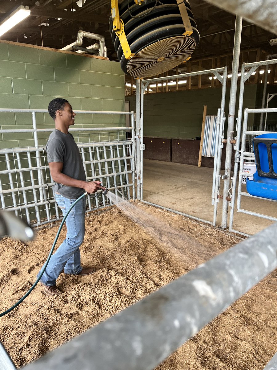 Mayde Creek FFA tweet media