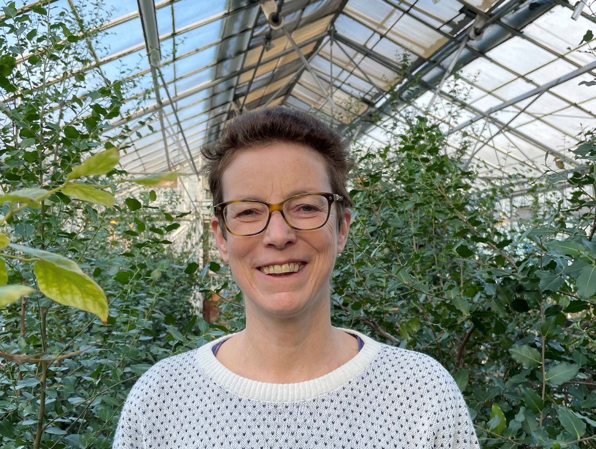 Congratulations Anne E. Osbourn of <a href="/JohnInnesCentre/">John Innes Centre</a>, newly inducted NAS International Member! #NAS160 #NASmember #plantbiology #microbialbiology
